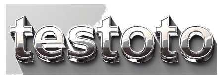 testoto logo